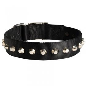 Exclusive Nylon Samoyed Collar with Awesome Nickel Cones