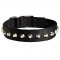 Exclusive Nylon Samoyed Collar with Awesome Nickel Cones
