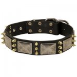 Samoyed Spiked Leather Collar with Nickel Plates