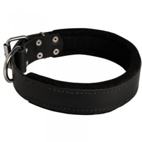 Samoyed Durable Padded Leather Collar 40 mm