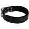 Samoyed Durable Padded Leather Collar 40 mm