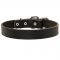 Samoyed Leather Dog Collar For Pleasant Wearing