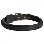 Samoyed Braided Leather Collar 1 Inch