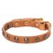 Leather Samoyed Collar with Brass Half-Ball Studs