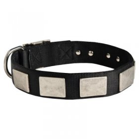 Nylon Samoyed Collar Massive Nickel Plates