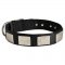 Nylon Samoyed Collar Massive Nickel Plates