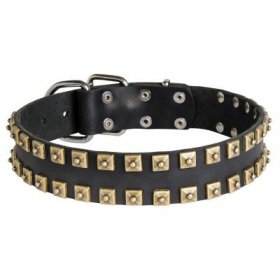 2 Rows Brass Studded Leather Samoyed Collar for Walking and Training