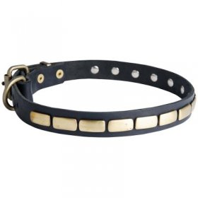 Samoyed Leather Collar Brass Plates 25 mm