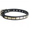 Samoyed Leather Collar Brass Plates 25 mm