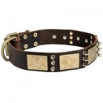Designer War-Style Leather Samoyed Collar with Spikes and Plates