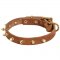Walking Designer Leather Samoyed Collar with Brass Spikes