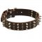 Samoyed Spikes and Studs Rows Leather Dog Collar
