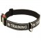 All Weather Nylon Samoyed Collar with ID Patches