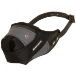 Protection Training Samoyed Muzzle Made of Nylon and Leather