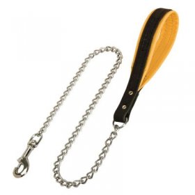 Samoyed Dog Leash with Leather Handle
