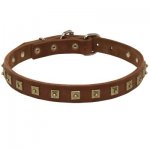 Handcrafted 1 Row Square Studded Leather Samoyed Collar