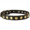 Leather Samoyed Collar with Brass Circles for Fashionable Walking