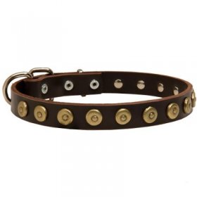 Leather Samoyed Collar with Brass Dotted Circles for Fashion Walking