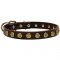 Leather Samoyed Collar with Brass Dotted Circles for Fashion Walking