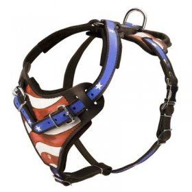 American Flag Painted Leather Samoyed Harness for Agitation Training