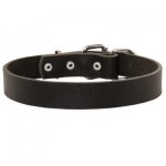 Samoyed Leather Dog Collar For Pleasant Wearing