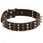 Samoyed Spikes and Studs Rows Leather Dog Collar