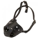 Everyday Leather Samoyed Muzzle for Training