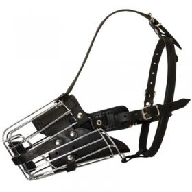 Basket Wire Samoyed Muzzle Padded All Over