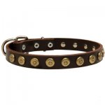 Leather Samoyed Collar with Brass Dotted Circles for Fashion Walking