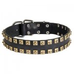 2 Rows Brass Studded Leather Samoyed Collar for Walking and Training