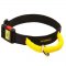 Gorgeous Wide Nylon Samoyed Collar With Quick Release Buckle and Handle