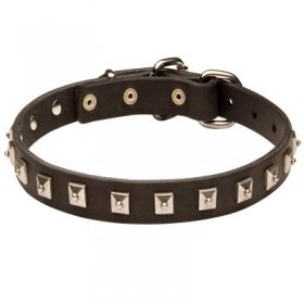 Samoyed Leather Collar Caterpillar Design