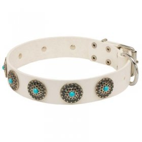 Exclusive White Leather Samoyed Collar with blue stones