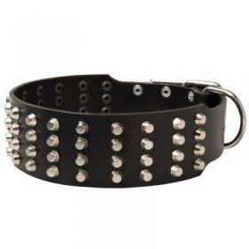 Extra Wide 4 Rows Studded Leather Samoyed Collar