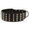 Extra Wide 4 Rows Studded Leather Samoyed Collar
