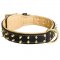 Royal Leather Samoyed Collar Spiked Padded with Nappa Leather