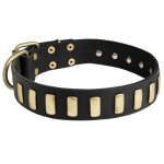 Fancy Leather Samoyed Collar with Brass Plates