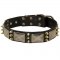 Samoyed Spiked Leather Collar with Nickel Plates