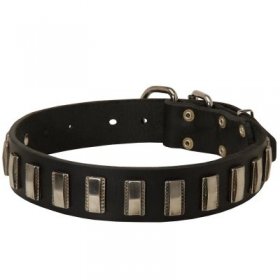 Samoyed Leather Collar with Shiny Plates