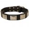 Leather Samoyed Collar with Large Nickel Plates
