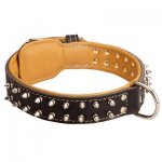 Spiked Samoyed Collar Padded with Nappa Leather