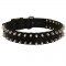 Samoyed Nylon Collar Spiked