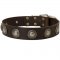Leather Samoyed Collar Decorated with Silver Conchos