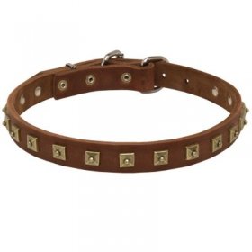 Handcrafted 1 Row Square Studded Leather Samoyed Collar