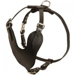 Adjustable Leather Samoyed Harness for Attack / Agitation Training