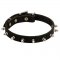 Samoyed Leather Collar Spiked 3/4 Inch