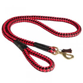 Nylon Cord Samoyed Leash for Walking and Training