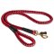 Nylon Cord Samoyed Leash for Walking and Training
