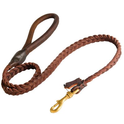 Plaited dog lead Clearance