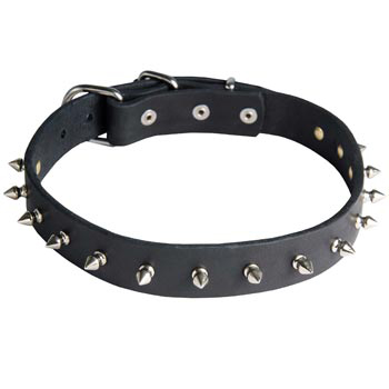 Samoyed Dog Leather Collar Steel Nickel Plates Spikes